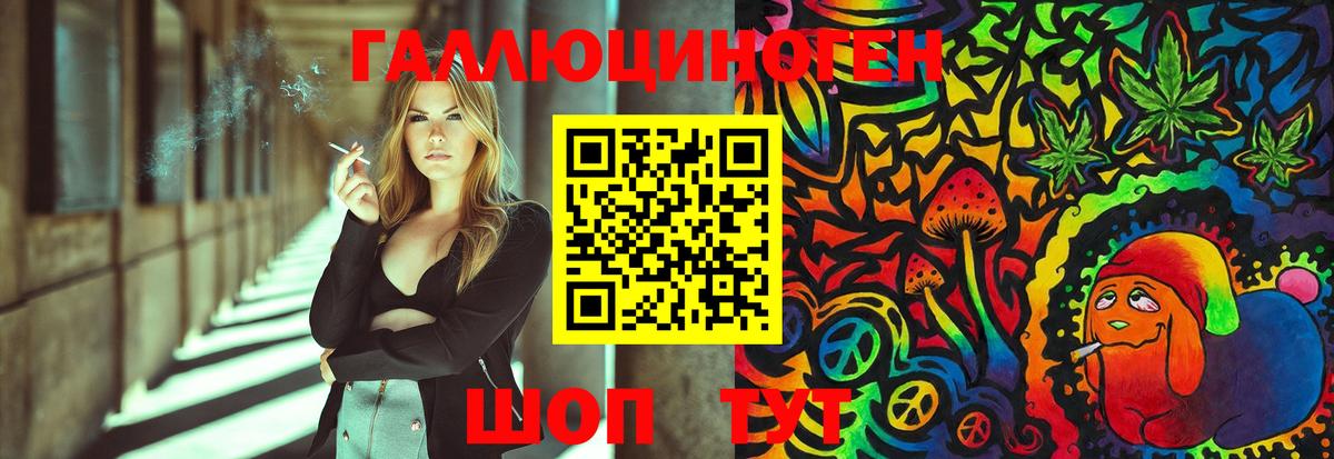 Александров  Галлюциногенные грибы Psilocybine cubensis  Вход с VPN 