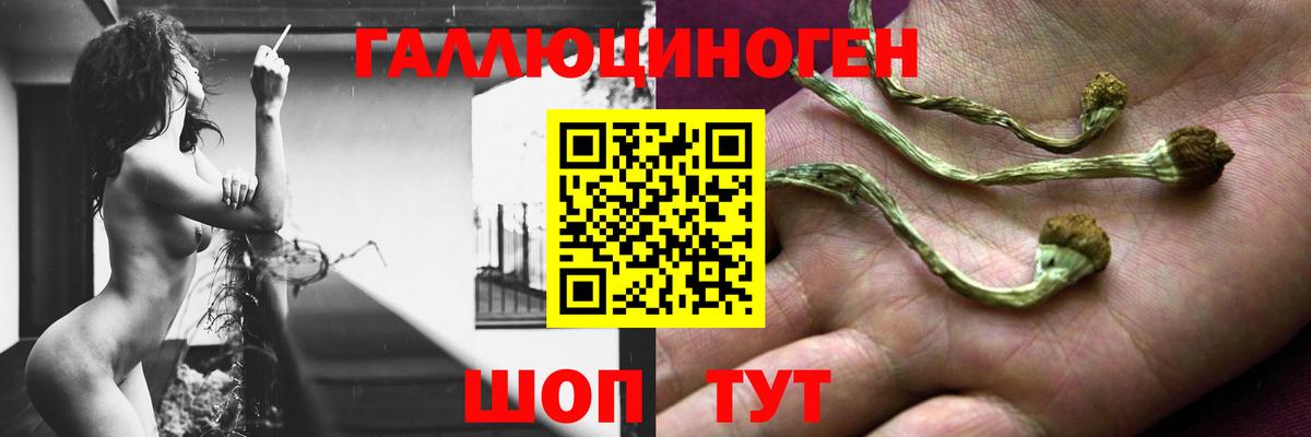Галлюциногенные грибы прущие грибы Александров